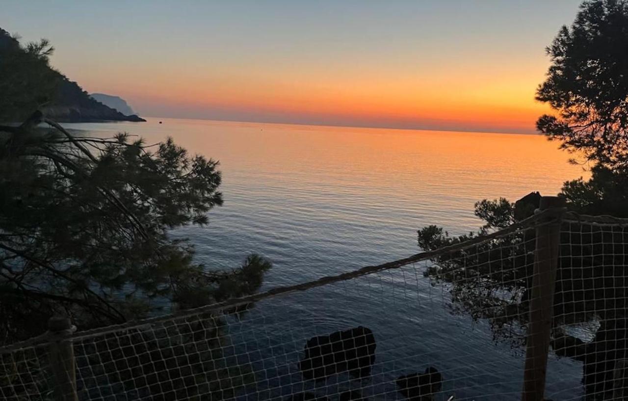 Villa Banyalbufar Kültér fotó